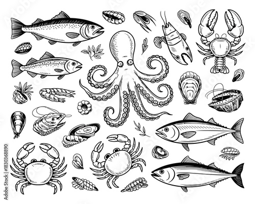 Collection of hand drawn seafood illustrations in black and white
