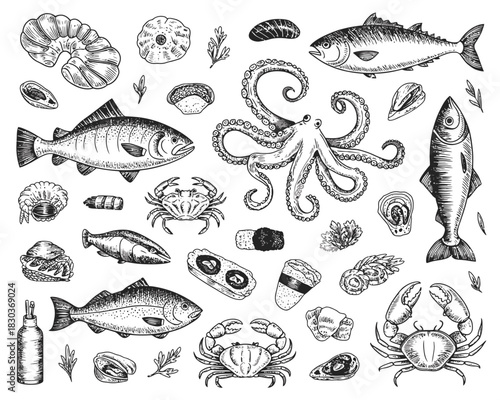 Hand drawn seafood collection featuring fish octopus crabs shellfish and sushi