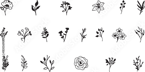 Floral vector pack: hand drawn flowers and leaves illustrations for design eps silhouette