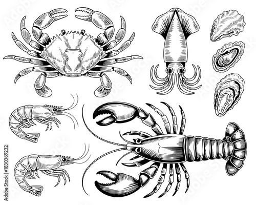 Vintage engraving style seafood collection featuring crab lobster shrimp squid and oysters