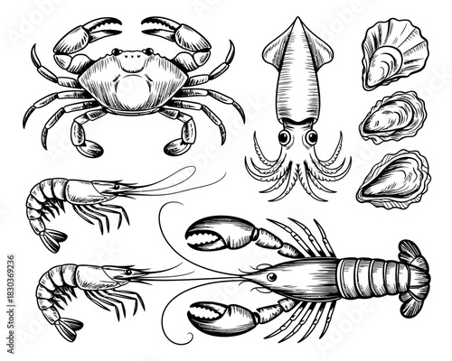 Collection of hand drawn seafood illustrations including crab lobster squid shrimp and oysters