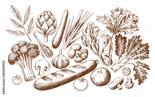 Hand drawn sketch of assorted fresh vegetables and greens on white background