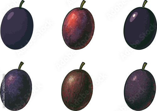 Six ripe plums in two rows against a light background