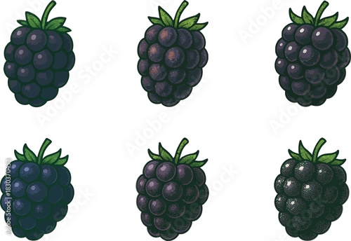 Six ripe blackberries with green stems on a white background