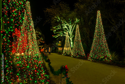 City park illuminated and decorated for Christmas