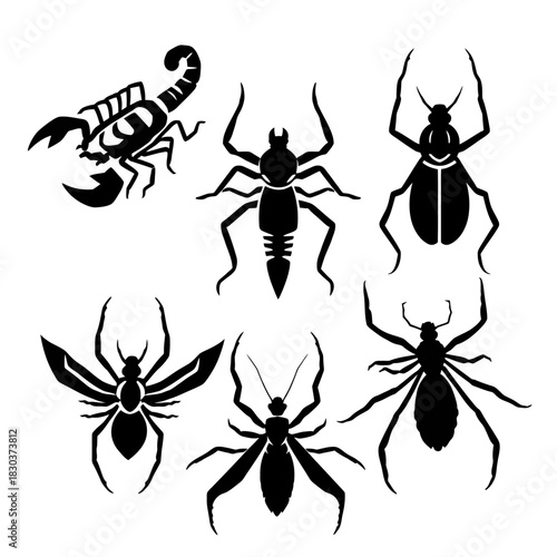 Six black silhouettes of insectsarachnids a scorpion 4 spiders with varying legsbodies and a beetle