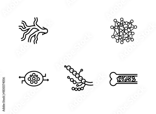 Arteries Veins Capillaries Lymph Nodes Lymphatic Vessels Bone Marrow Minimal Bold Line Icons
