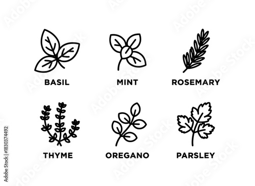 Basil Mint Rosemary Thyme Oregano Parsley Minimal Bold Line Icon Set