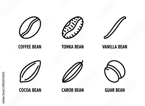 Coffee Bean Tonka Bean Vanilla Bean Cocoa Bean Carob Bean Guar Bean Minimal Bold Icon Set