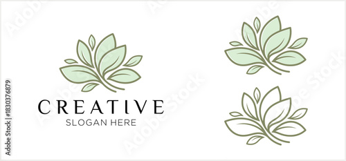 Elegant botanical logo design featuring a stylized cluster of leaves in a minimalist line art style.