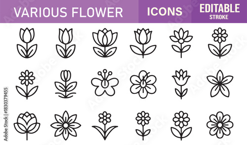 Comprehensive Various Flower Icon Pack with Multiple Blossom Styles, Petal Shapes, Decorative Plants, and Botanical Patterns