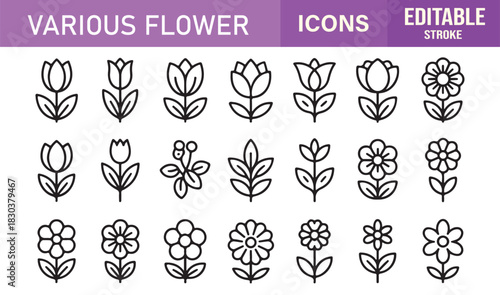 Stylish Minimal Icons for Floral Designs Showing Petals, Leaves, Blossoms, Branches, Natural Patterns, and Garden Elements