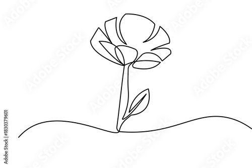 Minimalist poppy flower continuous one line drawing isolate outline vector illustration design
