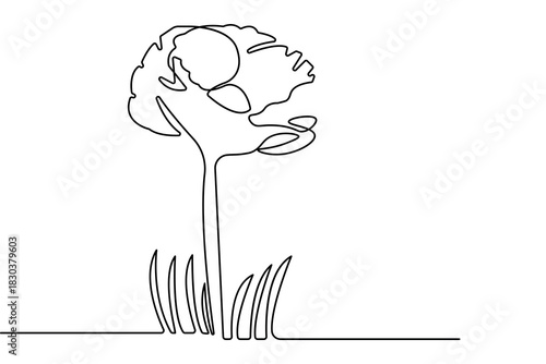 Minimalist poppy flower continuous one line drawing isolate outline vector illustration design
