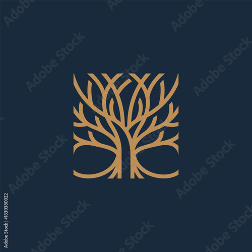 Stylized tree of life symbol with intricate interwoven branches forming a square, a clean and modern nature logo concept