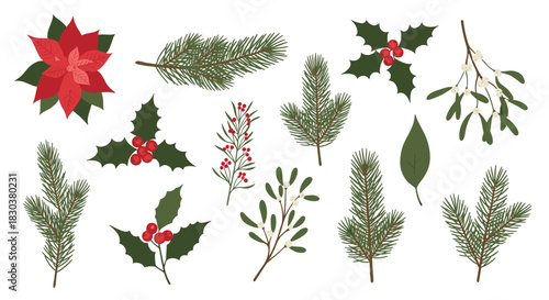 Festive Christmas plant illustrations featuring classic holiday foliage like poinsettia, holly, mistletoe, and various pine branches on a clean white background.