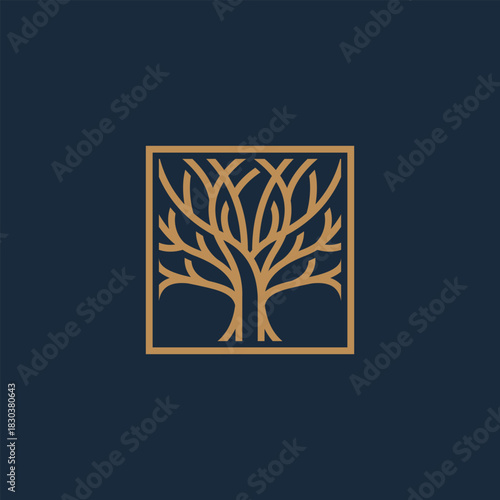 Elegant line art logo of a stylized tree with intricate branches inside a square frame, a minimalist and modern icon representing nature, growth, and life