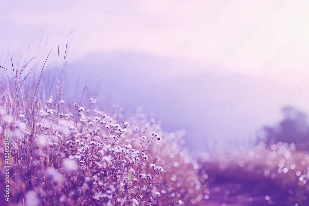 Naklejka premium Pastel Purple Mountain Meadow Flowers