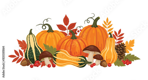 A vibrant autumn harvest composition featuring various pumpkins, gourds, mushrooms, and colorful leaves arranged on a white background.