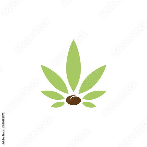 Creative vector icon combining a cannabis plant leaf and a roasted coffee bean for a beverage brand