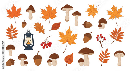 Autumn season elements set with various leaves, mushrooms, acorns, berries, and a vintage lantern.