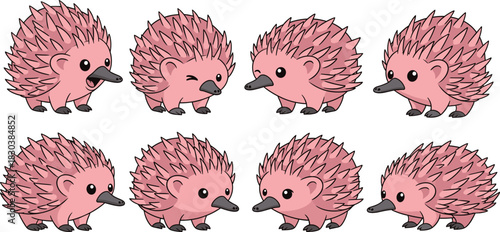 A delightful collection of eight adorable echidna illustrations, each showcasing a unique expression and pose, isolated on white background