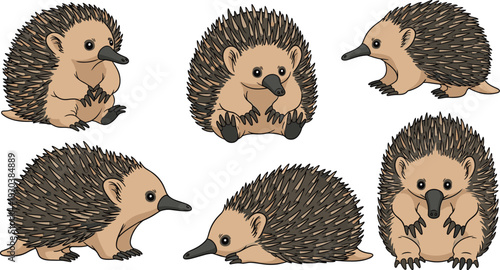 Collection of adorable echidna illustrations isolated on white background set of cute spiny anteaters in various poses vector art for kids, books, and design projects