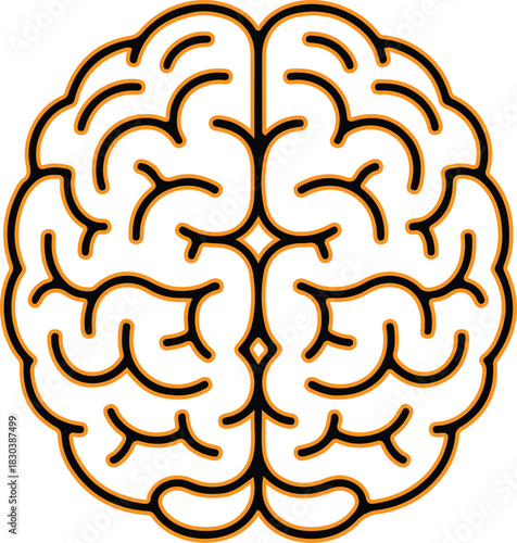 Stylized top view of human brain with clear outline