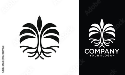 Palm tree graphic design illustration for printing, clothing and business. root and tree illustration design template with line art styles. mature tree and palm logo vector design illustration.