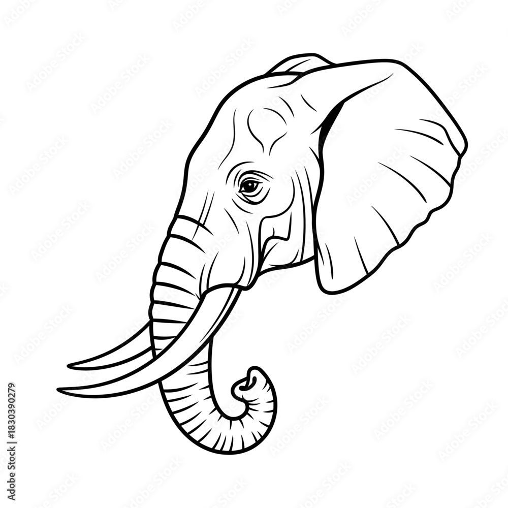 Fototapeta premium Elegant Monochrome Line Art Illustration of an Elephant's Head, Showcasing its Majestic Tusks and Expressive Trunk. Ideal for Wildlife and Nature-themed Graphics and Animal-related Projects