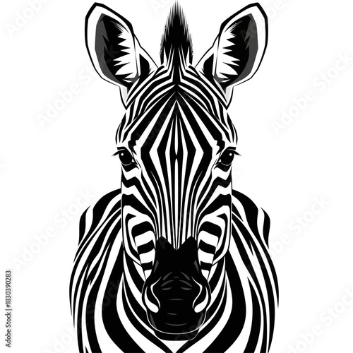 Detailed black and white frontal portrait of a zebra. An artistic wildlife illustration showcasing the beautiful and complex stripe patterns of nature