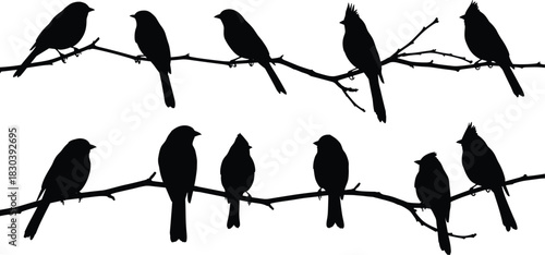 Silhouette of birds sitting on tree branches, nature wildlife concept, peaceful scene, natural harmony, birdwatching, freedom, tranquility, and simplicity.