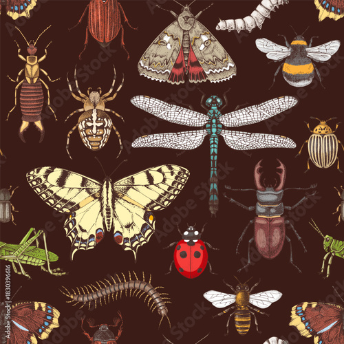 Insects hand drawn seamless pattern