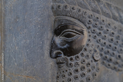 Relief of 10 000 Immortals of Darius