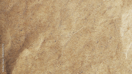 Blank cardboard recycle paper macro close up view