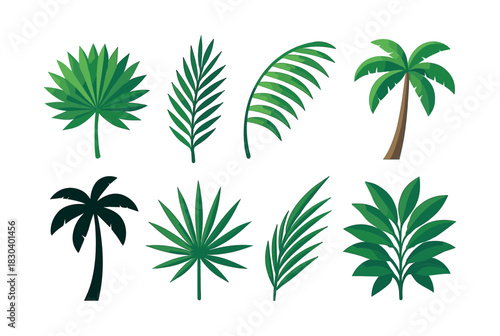 Leaf collection vector illustration, tropical, palm, flat vector style