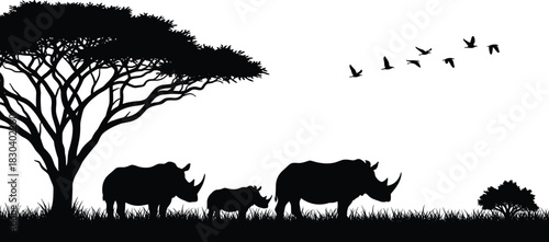 African Rhino Family Silhouette on Savannah, Acacia Tree and Flying Birds, Wildlife Landscape, Black and White Vector Illustration