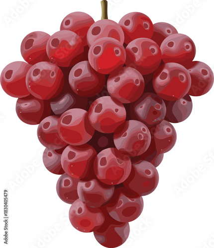 Hyper-Realistic Red Grape Cluster Vector Illustration Depicting a Lush Bunch of Ripe Fruit with Detailed Textures, Ideal for Wine, Harvest, Food, and Natural Product Concepts