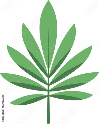 Simple green compound leaf vector illustration isolated on white.