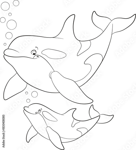 Black and white line art coloring page. Marine wild animals.A cute mother orca and her happy calf