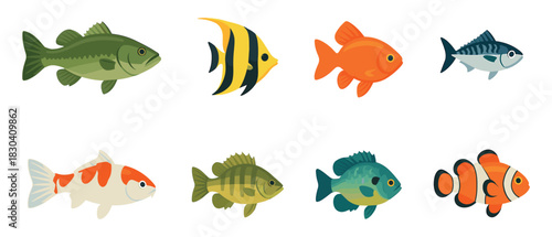 Colorful fish collection, diverse aquatic life, flat vector illustration of sea creatures