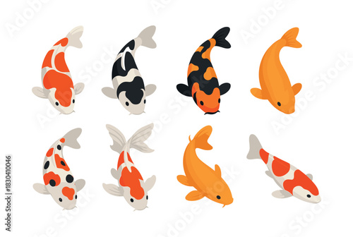 Koi fish collection, aquatic creatures, flat vector illustration, ornamental design