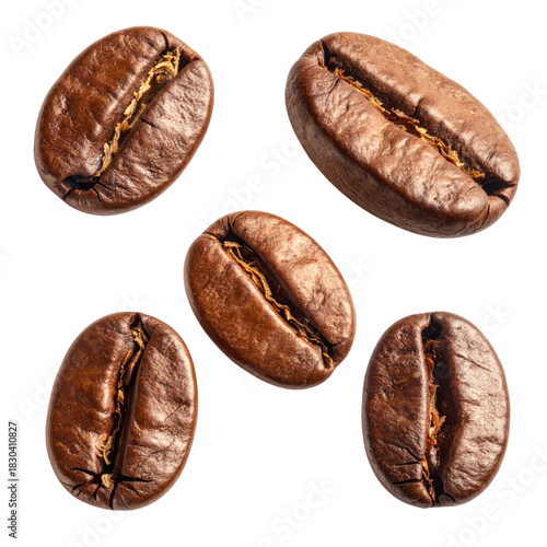 Wallpaper Mural Five Roasted Coffee Beans Displayed In A Balanced Composition isolated on transparent background. PNG die-cut for advertising Torontodigital.ca
