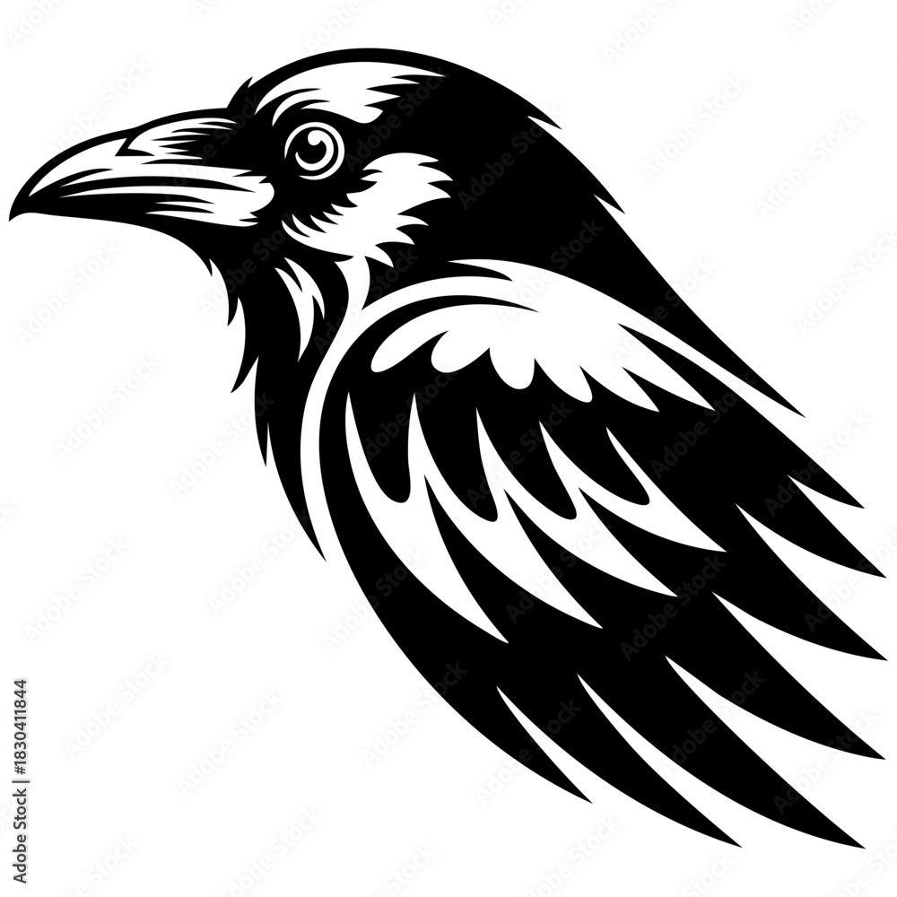 Fototapeta premium Raven Bird