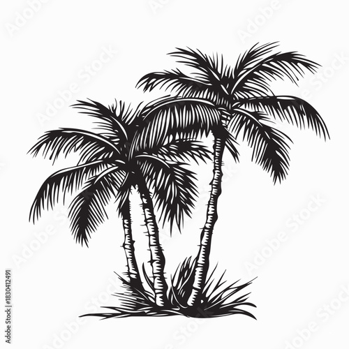 Tropical Island Palm Tree Image Vector Isolated on white background