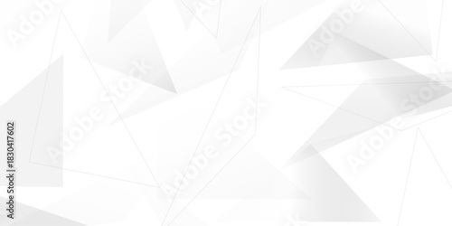 Abstract background with liens and triangles shape on white background. White and grey geometric overlapping rectangle pattern Geometric background soft shadows as patten ..White polygon textured .