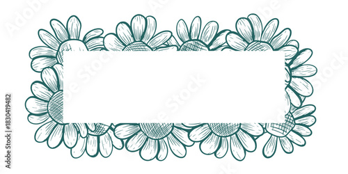 Rectangular frame with daisies. Vector frame in line art style. Botanical drawing of wildflowers. Executed in a popular dark turquoise shade. Nature engraving.
