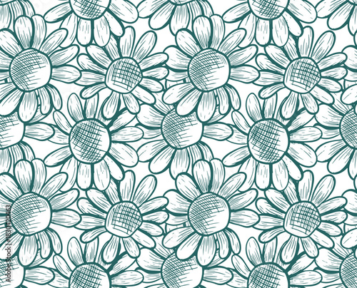 Seamless vector pattern with daisy flowers. Monochrome botanical illustration with wildflowers. Hand-drawn line art with flower silhouettes.