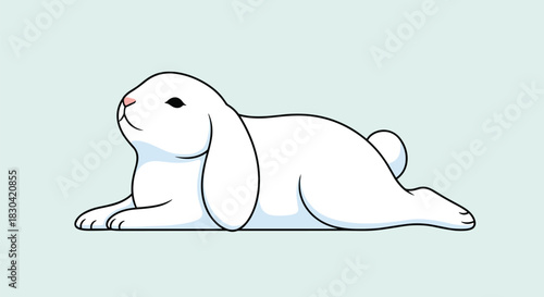 A cute white lop-eared rabbit lies stretched out on a light blue background, looking gently upwards with a curious expression.
