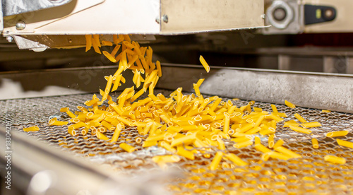 Pasta factory. Close-up of raw pasta on machines and conveyor. Pasta production equipment. Modern manufacturing plant of the pasta industry.